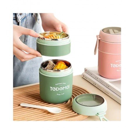 TEDEMEI 2 LAYER STAINLESS STEEL LUNCH BOX 710 ML